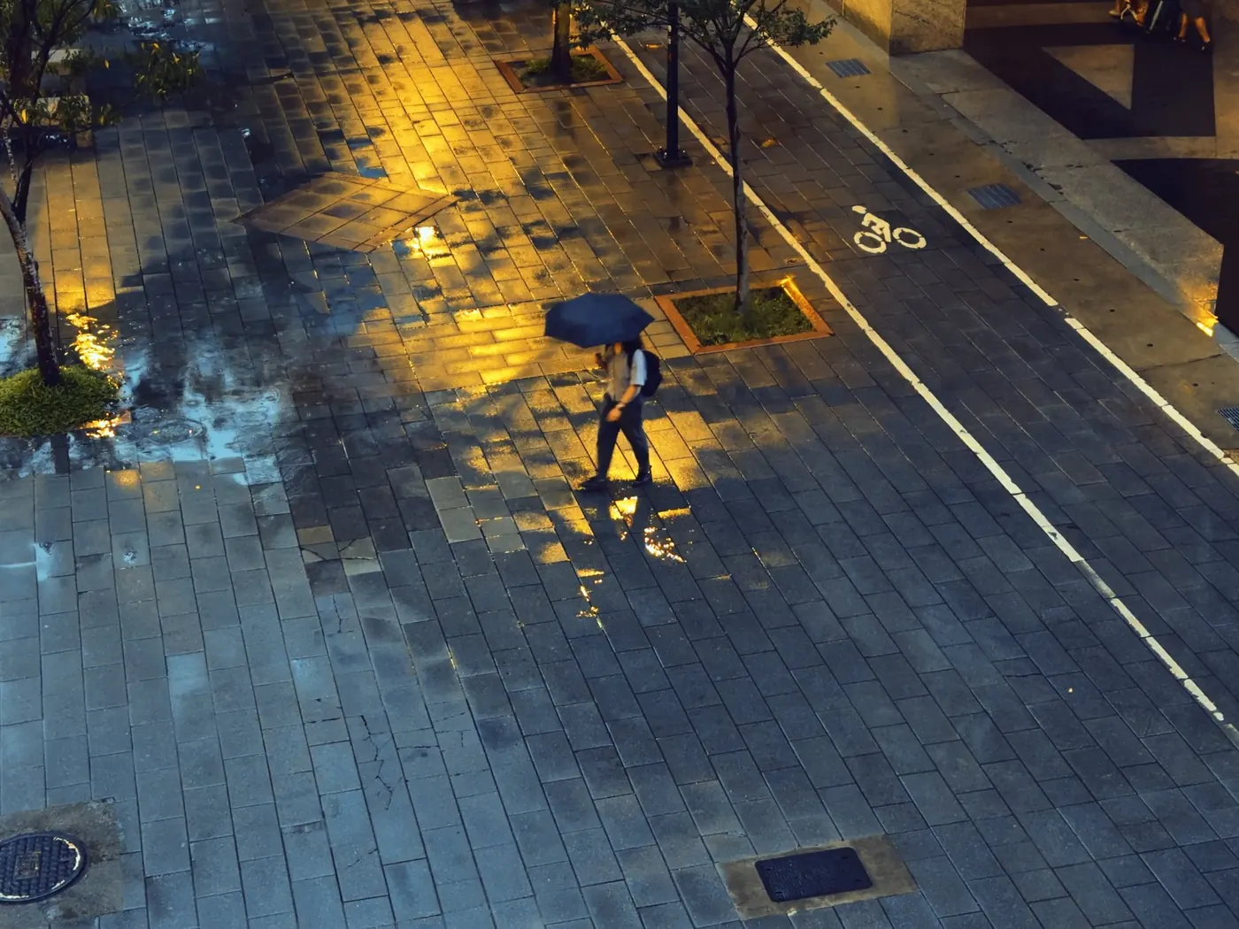 雨中撐傘